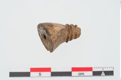 Foto von Beinfibelbügelbesatz (NHMW-PRAE-023971)